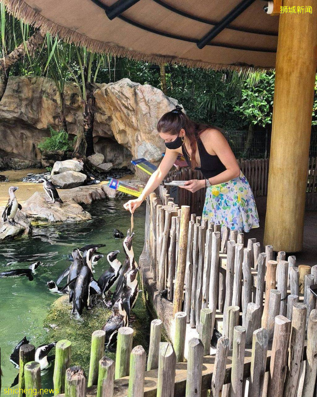 攻略收好、出發開啓親近動物之旅🦩從白天玩到晚上、10大景點近距離接觸小動物