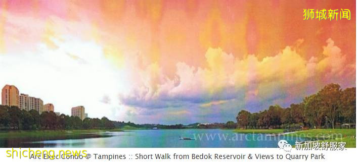 新加坡执行共管公寓EC稳赚不赔?PR和外国人有投资空间吗?EC有学区房吗?居住环境是否和私人公寓有差