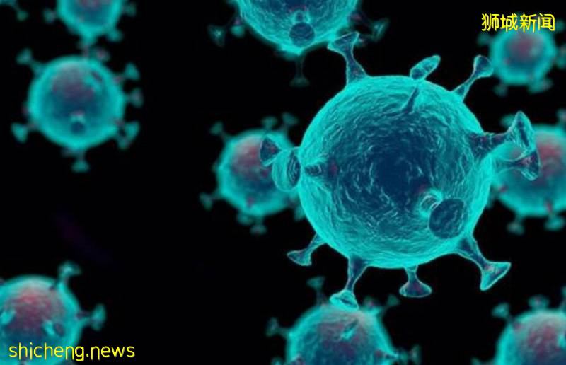 WHO：兩周來每天確診病例超10萬例，新加坡感染原因或找到源頭!