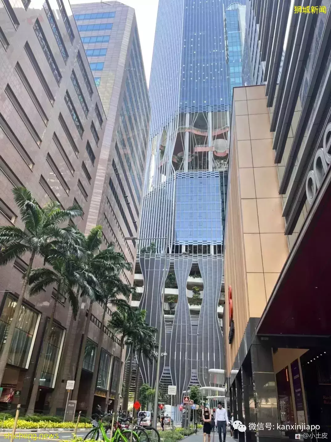 獅城超美新地標，空中花園可俯瞰金沙！你打卡了嗎