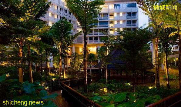 重新分配!新加坡南大宣布將爲國際學生提供更多宿舍名額