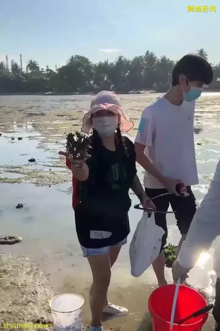 周末时光—魔鬼岛赶海