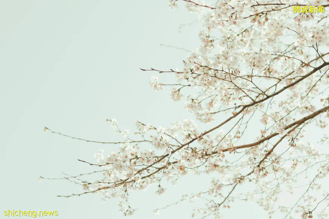 新加坡留學 給你七個無法拒絕去新加坡留學理由