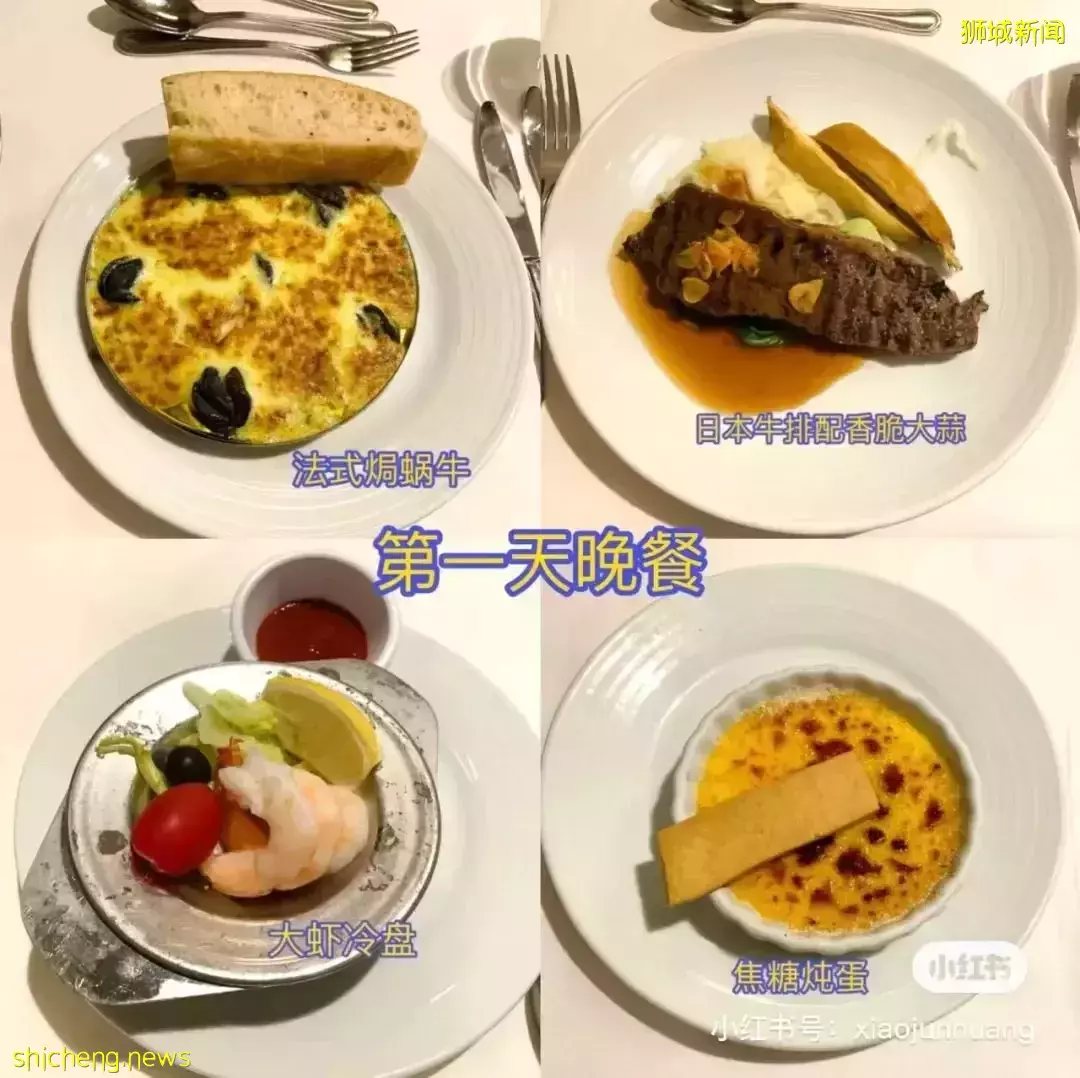 羡慕!一家四口5天4夜坐豪华邮轮免费,攀岩、冲浪、蹦极、跳伞,数不尽的美食和表演