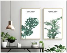 新加坡14+7的居家隔離!中國來的長期准證持有者爲啥不需要