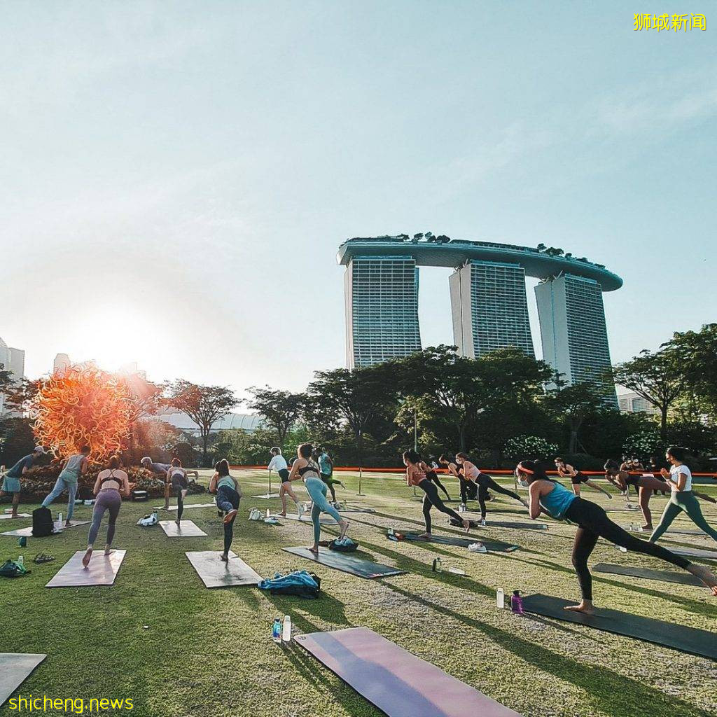 走到户外、新加坡超独特的瑜伽课！高空+泳池+海边，与大自然的近距离接触🌳🧘 