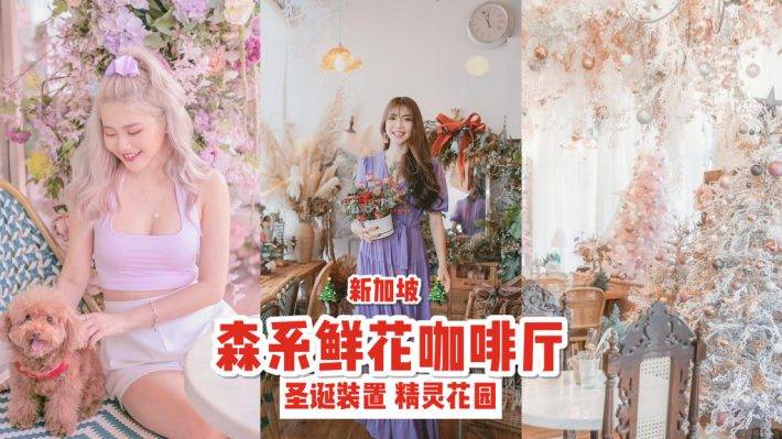 花花世界💐 Cafe De Nicole‘s Flower聖誕氣氛超濃的神仙咖啡廳！誤闖秘境吃甜品