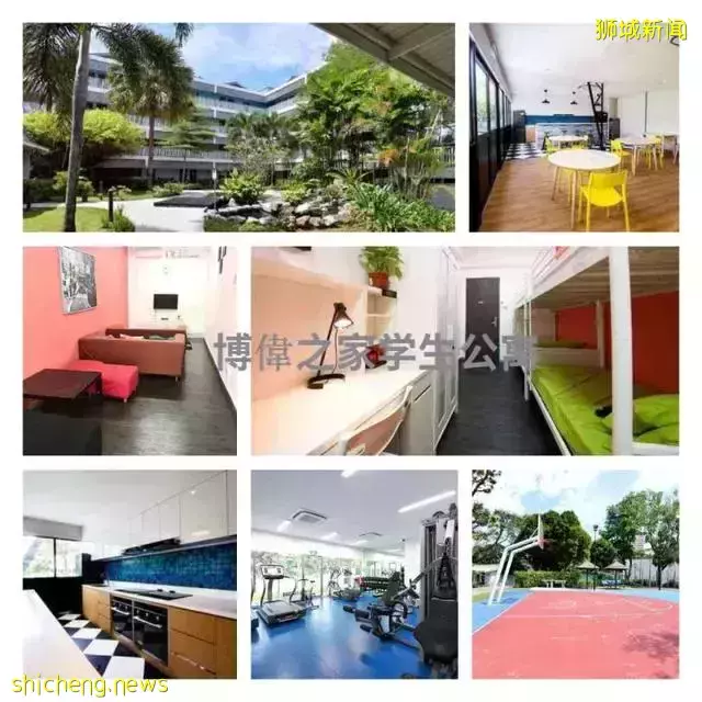 让中考后的路不再彷徨,权威解析中学阶段新加坡留学方案