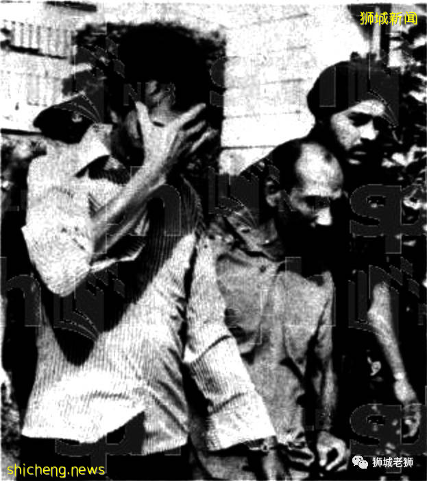 新加坡泳褲四人幫,坐牢64年!提控228項罪名,鞭行144下!