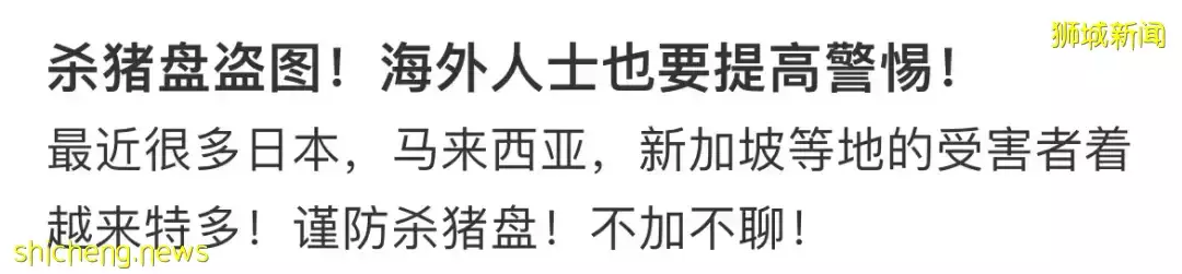 杀猪盘又有新套路！聊天记录曝光，在新加坡的中国人成为目标！他们在线求助