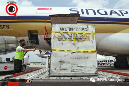 首批莫德纳疫苗运抵樟宜;新加坡疫苗接种率世界第六