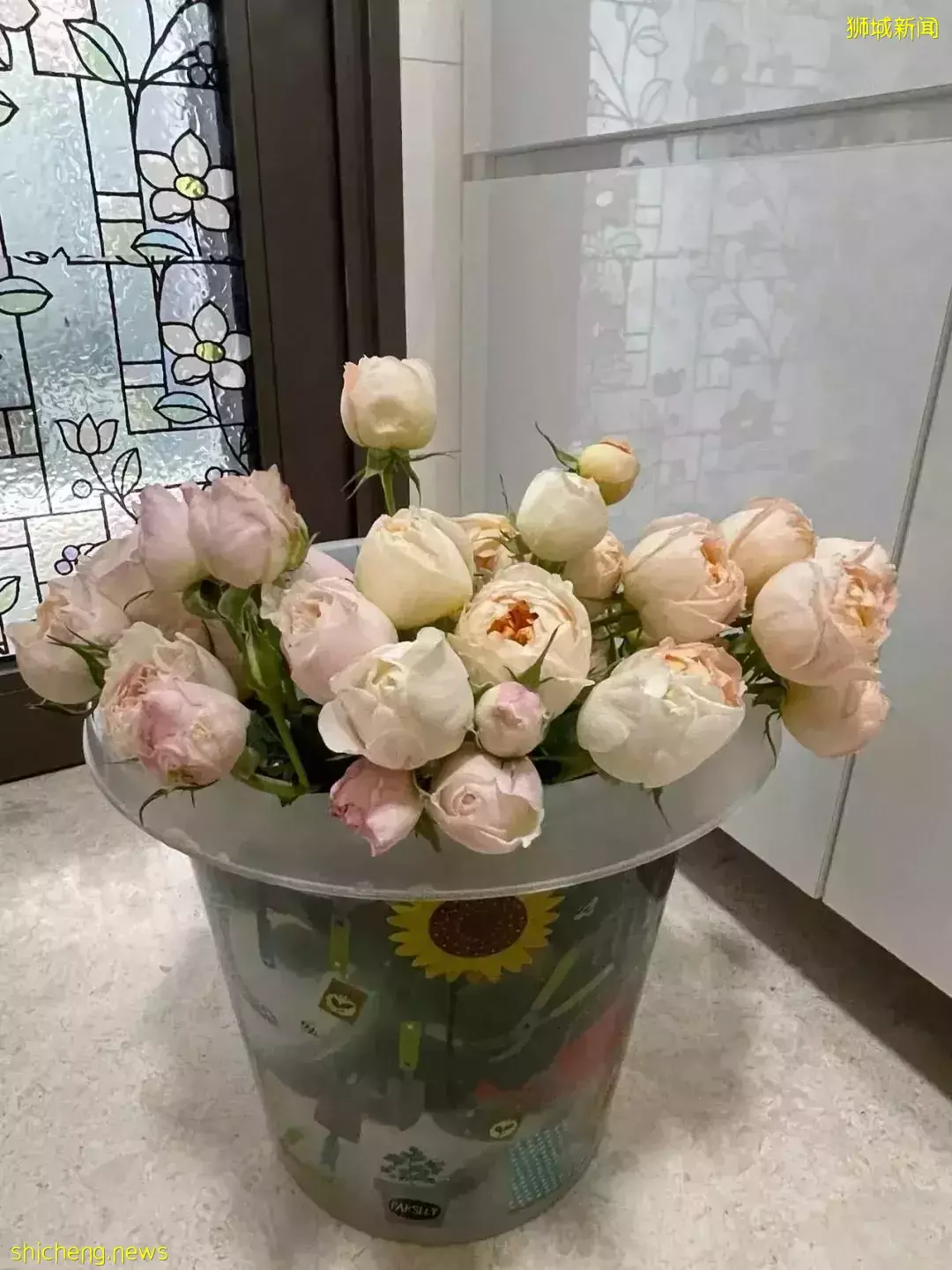 鮮花在熱帶也能養1個月？資深花友新加坡買花、養護大揭秘