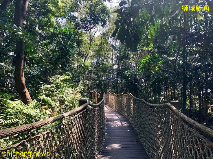 花香鸟鸣,绿荫环绕,新加坡十大生态徒步路线走起