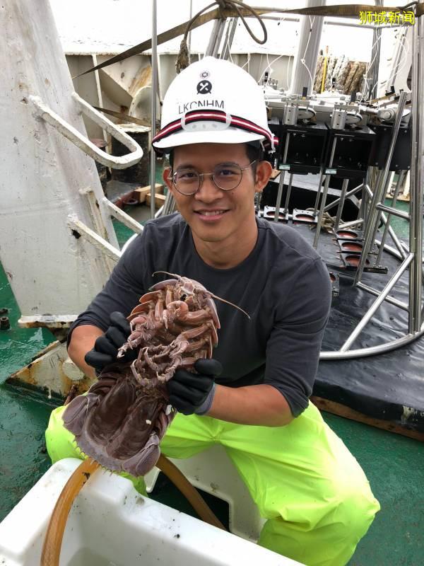 印尼深海發現巨型海蟑螂·體長50公分爲新品種