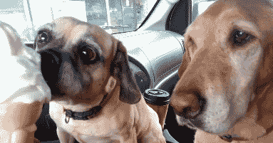 好吃好玩！新加坡10家兒童餐廳，自帶玩樂區堪比付費遊樂場