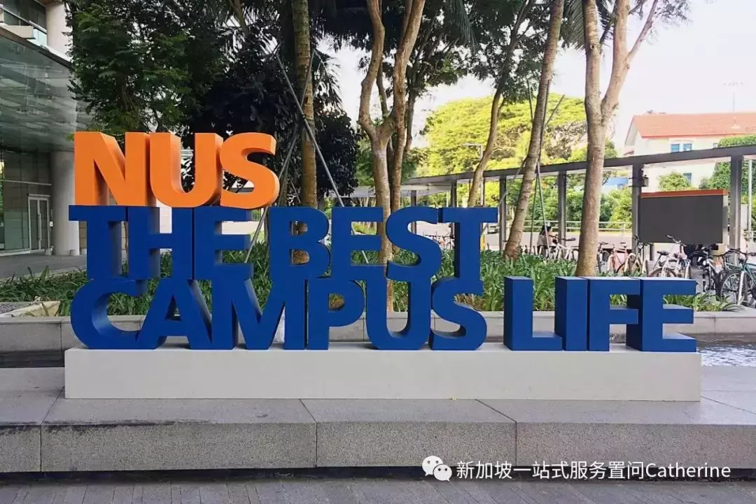 新加坡国立大学:最新国大各专业申请学生分数范围公布