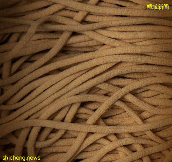 新加坡病例飙升下,1万6500确诊者在家养病!必备“生存包”来了