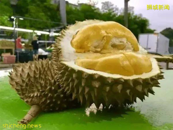 沖鴨！新加坡榴梿季來啦，Top10榴梿攤地址奉上!