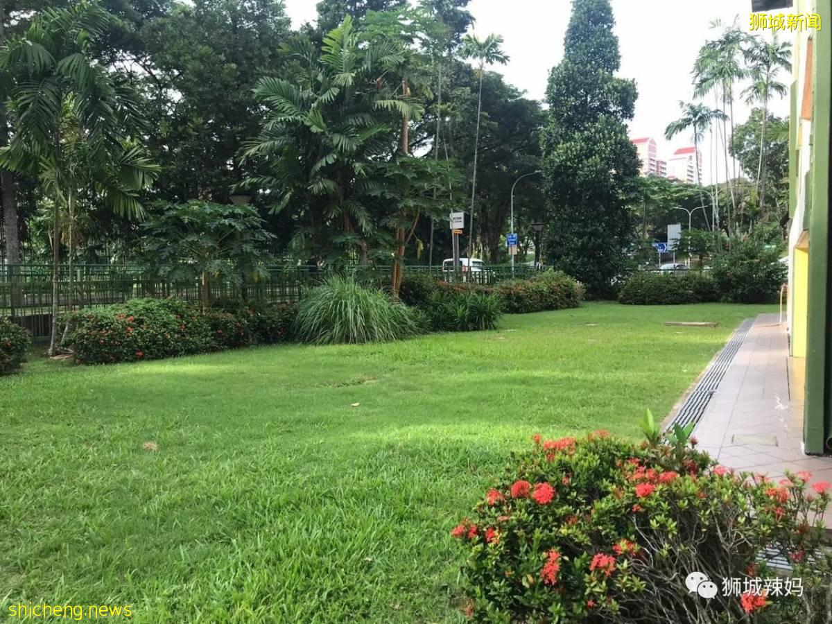 留学新加坡需要多少钱?你可能会吓到