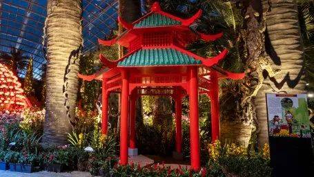 濱海灣花園新春花卉展【大麗花之夢】，1月15日開幕！喜氣洋洋迎牛年