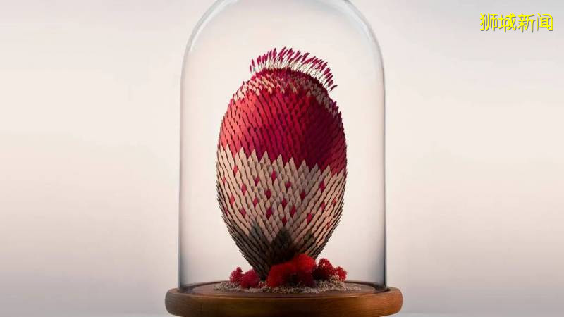 【周末活動】消防局開放參觀，$20濱海灣花園無限次，5.5折動物園門票