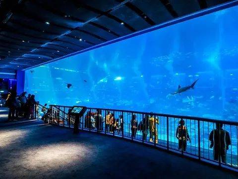 遛娃胜地新加坡!盘点那些让娃流连忘返的主题乐园