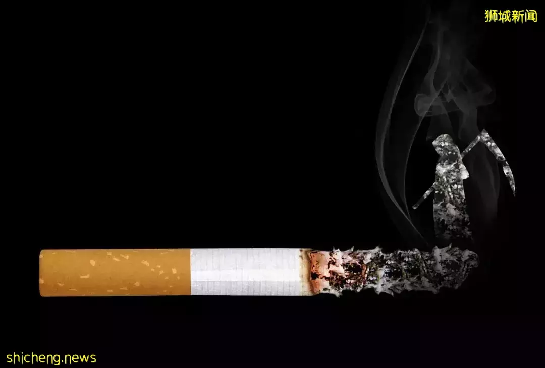 新加坡 对“烟草”的禁令可以说是严之又严