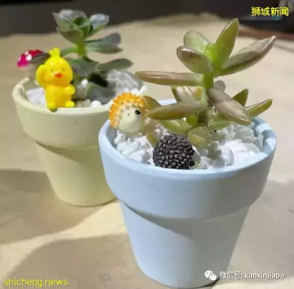 新加坡东部六月假期活动攻略：汽车影院、盆栽设计、父亲节活动...快来看看吧