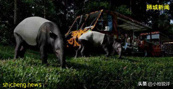 你不知道的世界冷知識(四十三)關于新加坡