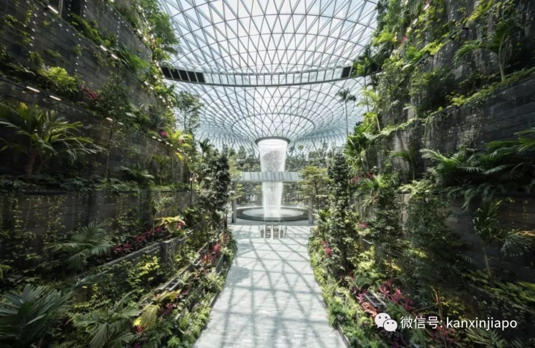 星耀樟宜中必打卡的雨漩涡，关了！