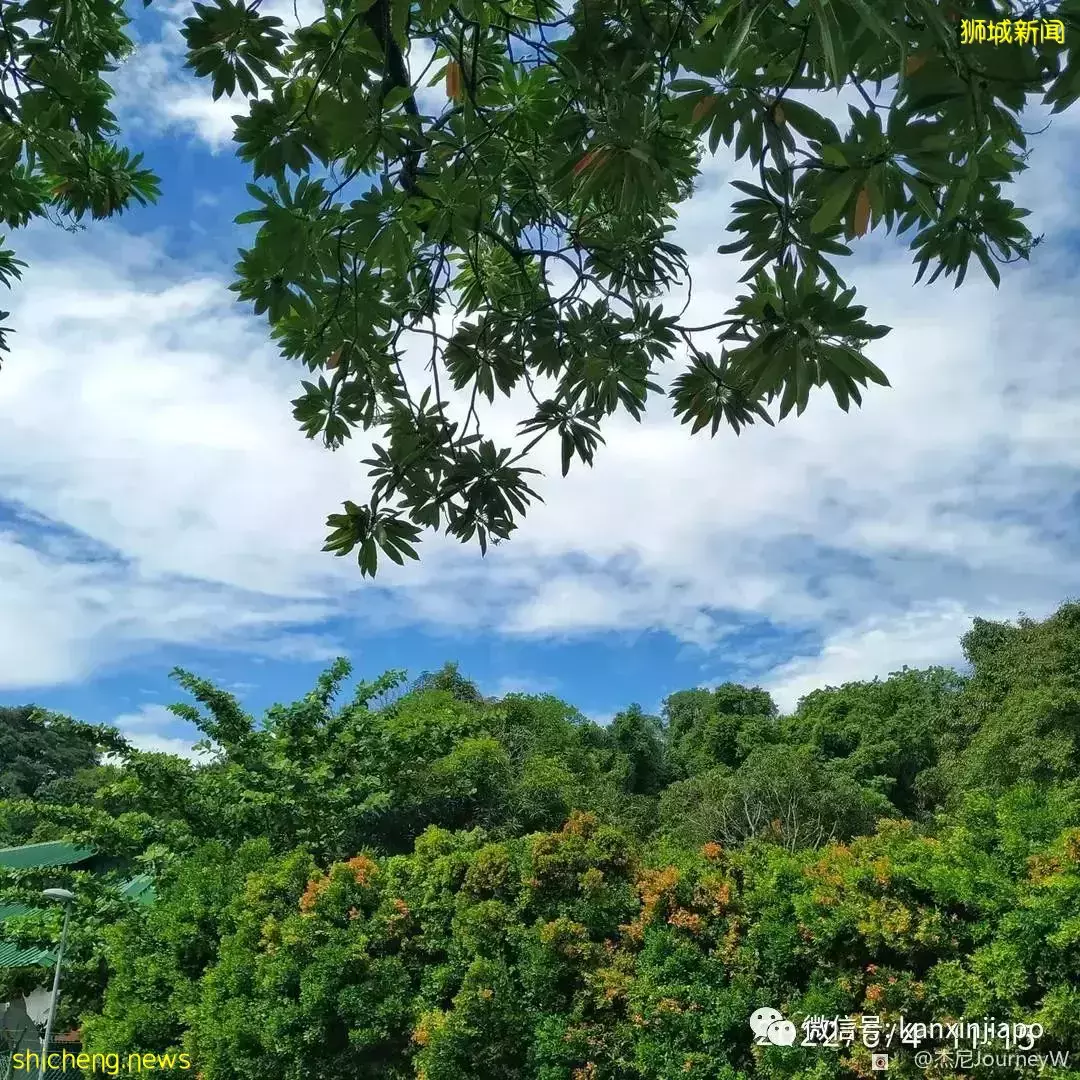 新加坡离岛攻略,半个多小时便能收获美景天堂