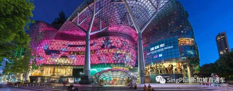 夜幕下的新加坡,有多美