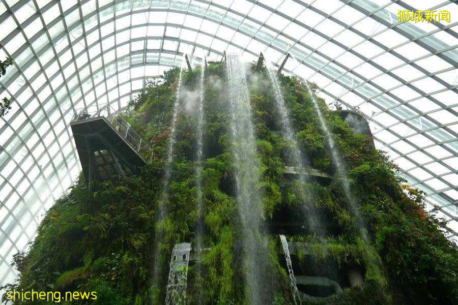 新加坡放宽旅游限制，小众网红景点等你来打卡