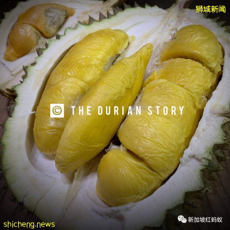 不能親手驗貨很吃虧? 獅城小販將榴梿美照放上網讓買家“相親”