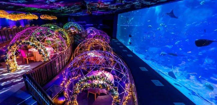SEA海洋館聖誕主題“深藍夜宴”,夢幻圓頂冰屋下體驗浪漫限定晚餐