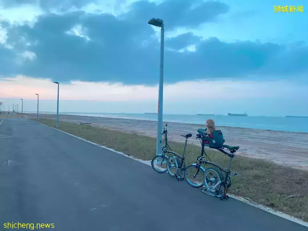 新加坡最新网红景点!风景绝美必打卡