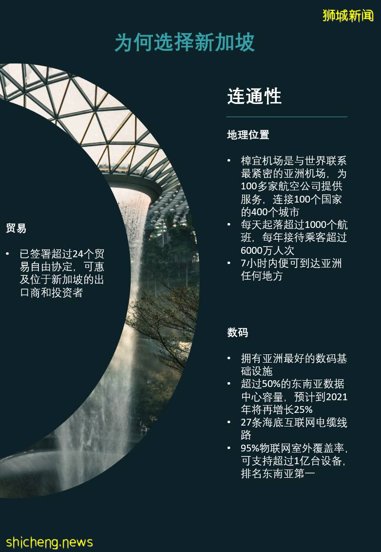 【最全攻略】關于新加坡科技准證的一切都在這兒了