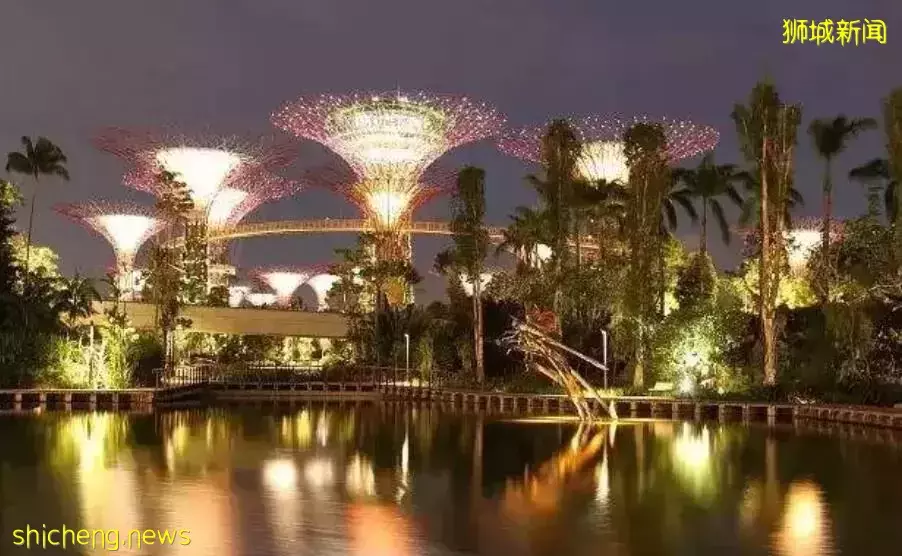 新加坡一间咖啡店竟然能卖这么多钱！超乎你想像