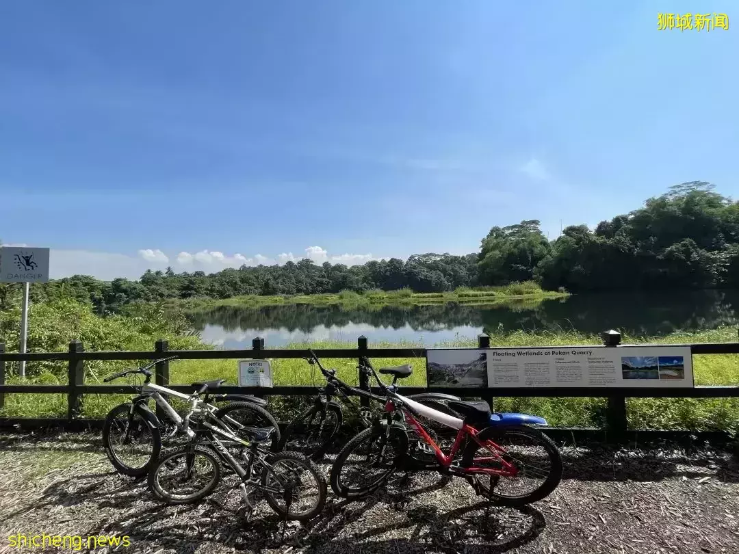 榴梿、野豬、猴子、各種魚蟹……體驗“新加坡最後的農村”