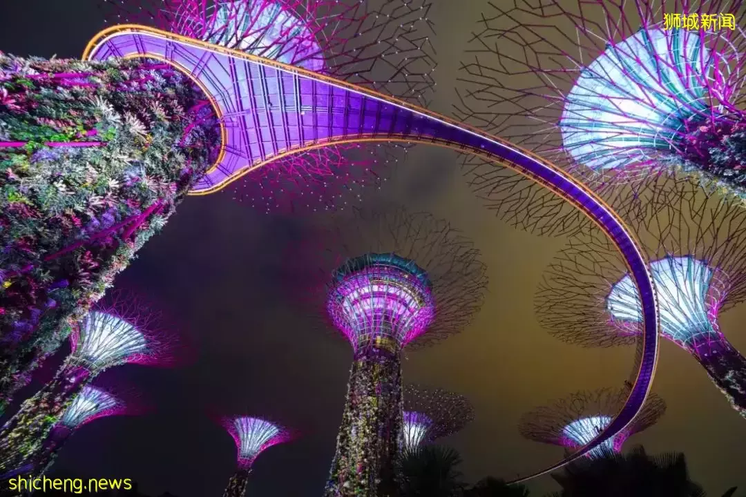 这位中国PR在新加坡买下一层楼!他们却放弃身份,从新加坡润回国