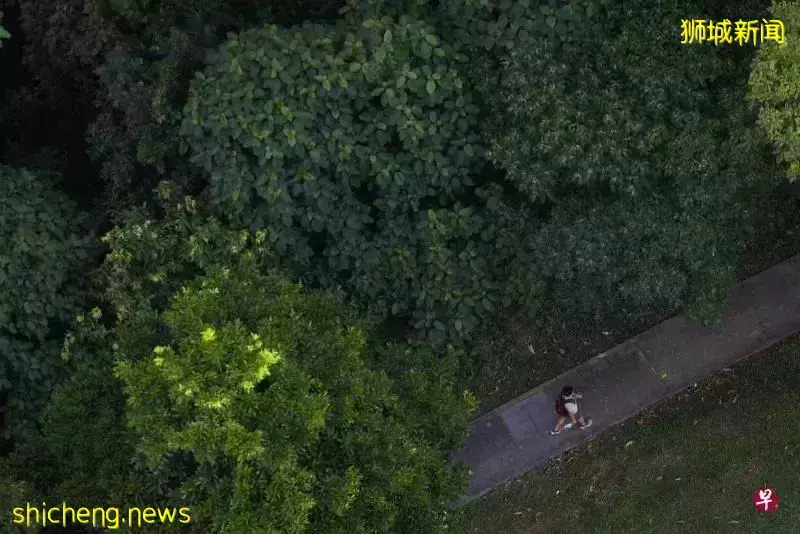 2030年,新加坡人人走路10分钟就能到公园?先去感受一下