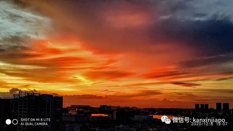 昨天傍晚新加坡出现粉色天空,大波美图刷遍全网