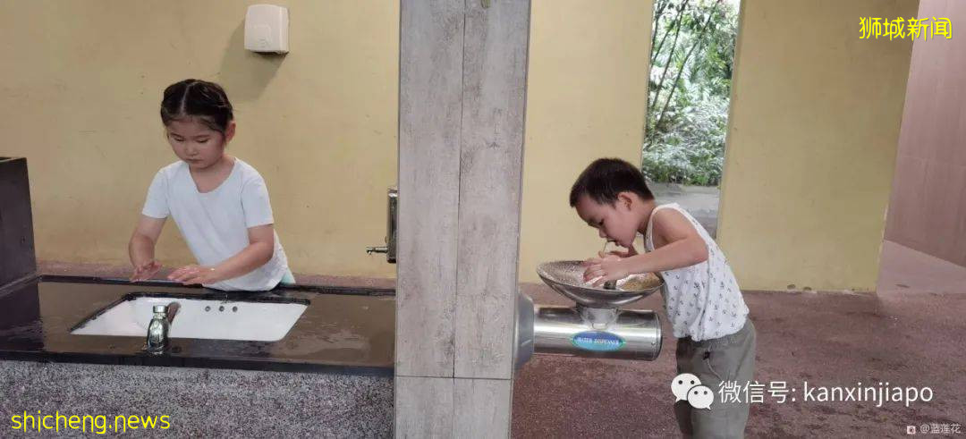 遛娃圣地海军部公园,超多大滑梯,大人孩子一起嗨