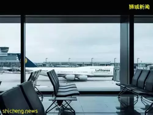 2022最新 新加坡驻中国大使馆开具的委托书，到底有什么用