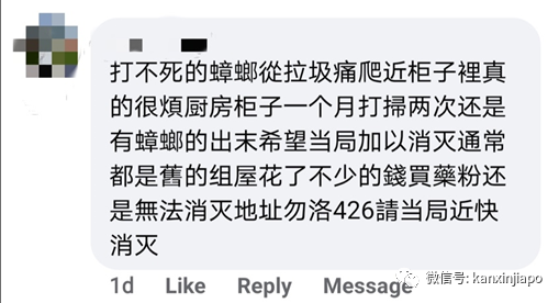市镇会消毒垃圾槽,住家反被蟑螂大军“入侵”