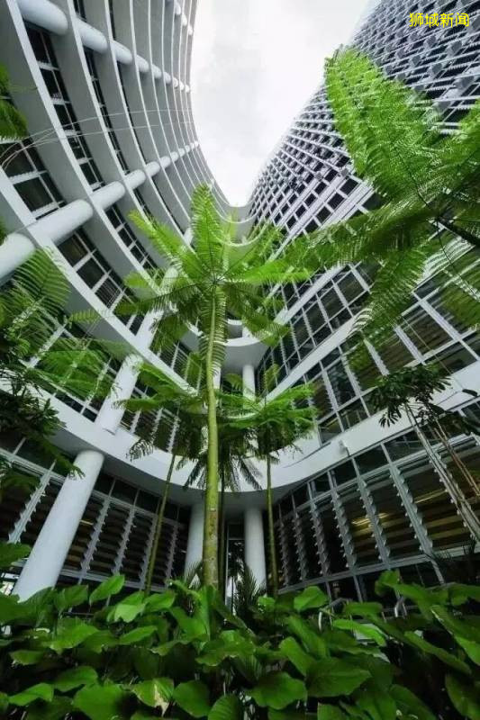 新加坡護理行業淺談