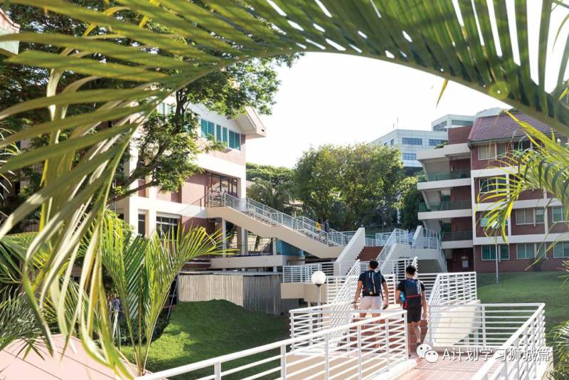 泰晤士THE2021世界大学学科排名:医学