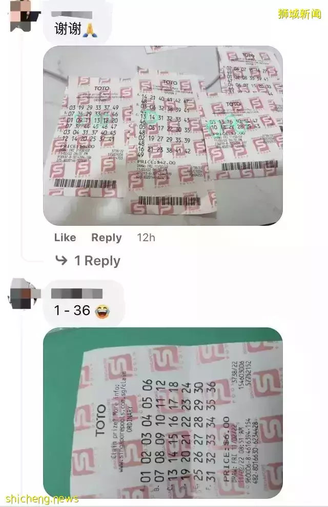 8人平分1900萬新幣！新加坡全民瘋狂買彩票、鋪滿整個房間！他連中頭獎+二獎