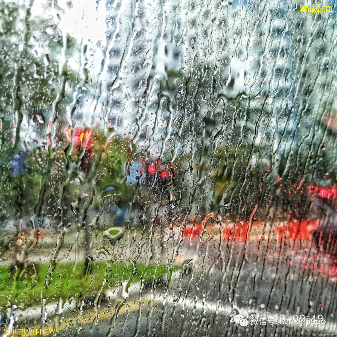 在新加坡打完疫苗变“万磁王”?网友亲测分享