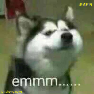 在国大读电气工程是一种什么体验